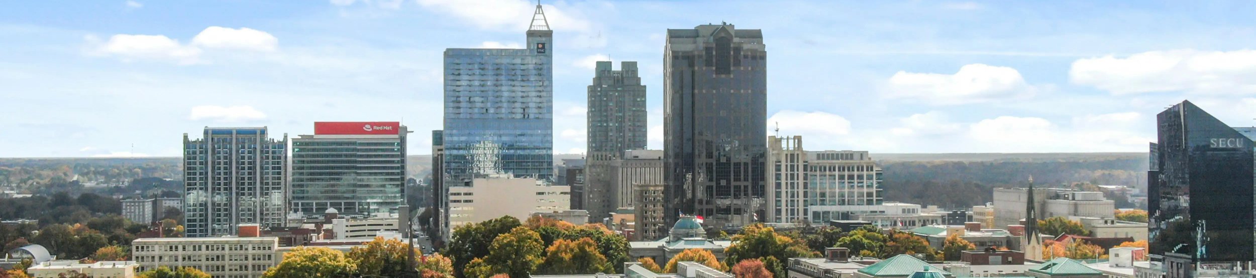 Raleigh Durham Chapel Hill Skyline - Triangle Web Design